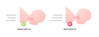 baby latching illustration proper latch vs improper latch